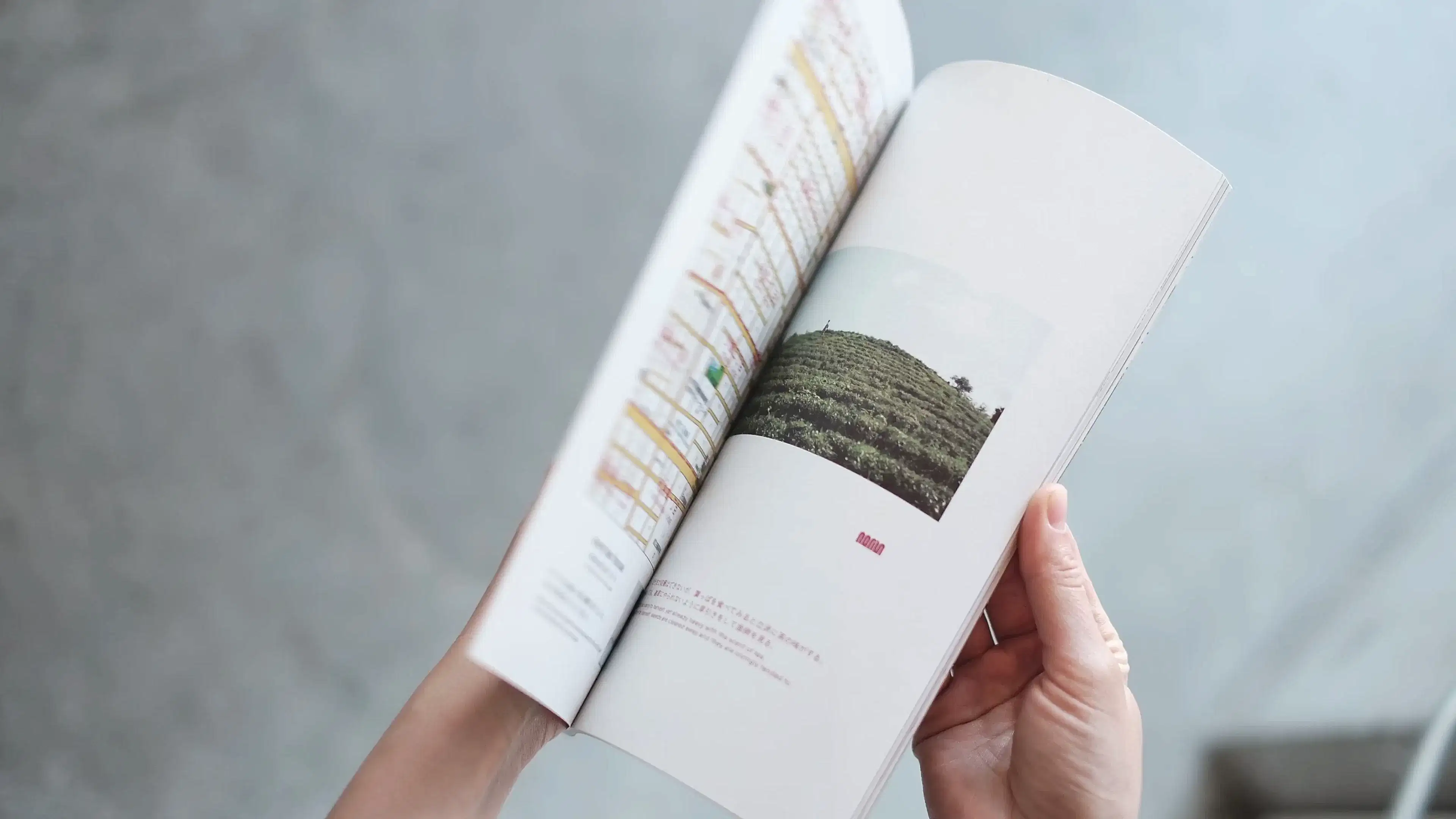 SAWA Tea Magazine